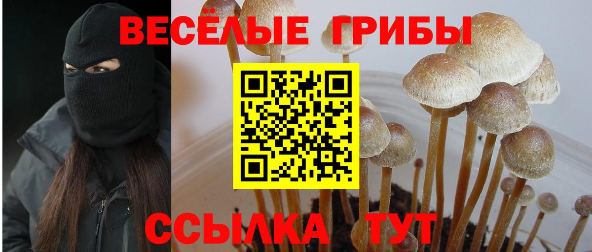 Североуральск  Псилоцибиновые грибы Psilocybe  где купить наркотик  Вход с VPN 